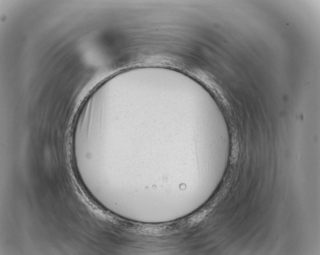 X0000086071086200704202120