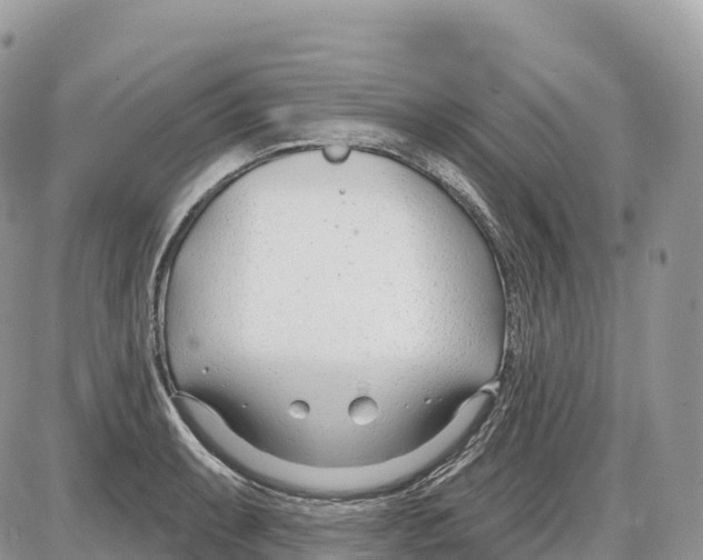 X0000086071087200704202120