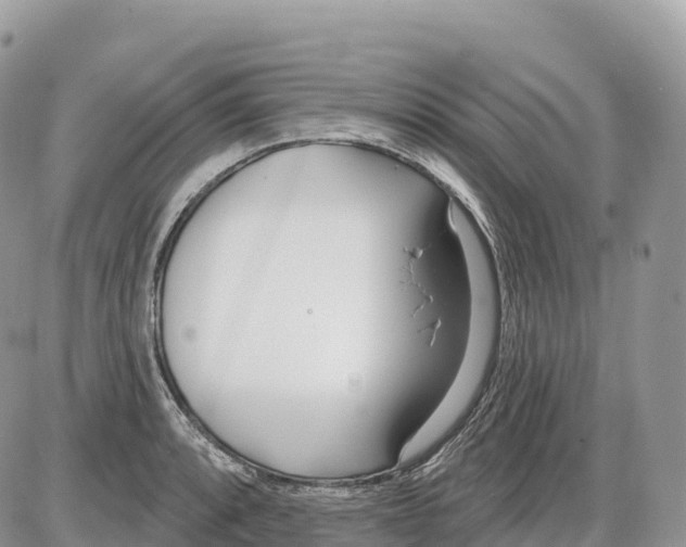 X0000086071088200704202120