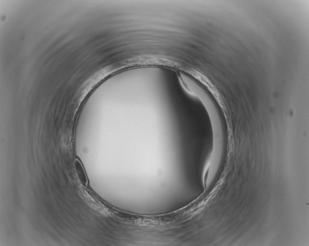 X0000086071089200704202120