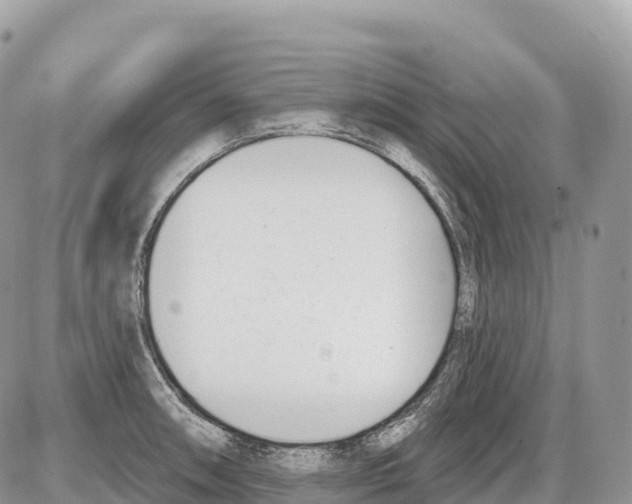 X0000086071090200704202120