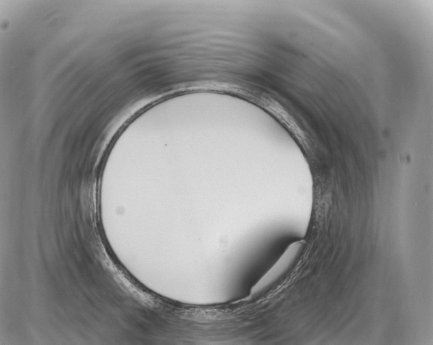 X0000086071092200704202120