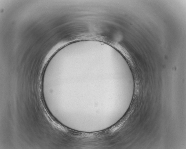 X0000086071094200704202120