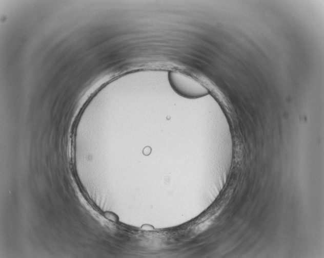 X0000086071095200704202120