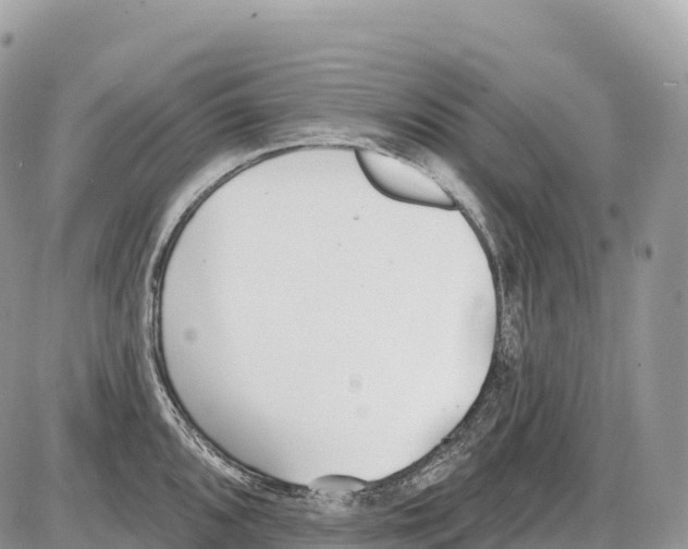 X0000086071096200704202120