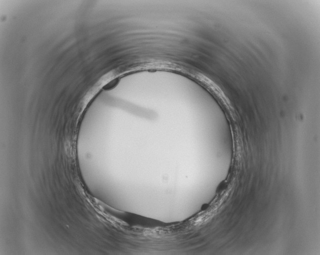 X0000086071097200704202120