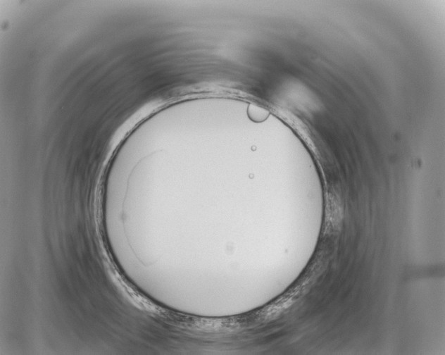 X0000086071098200704202120