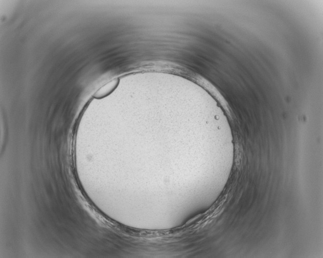 X0000086071099200704202120