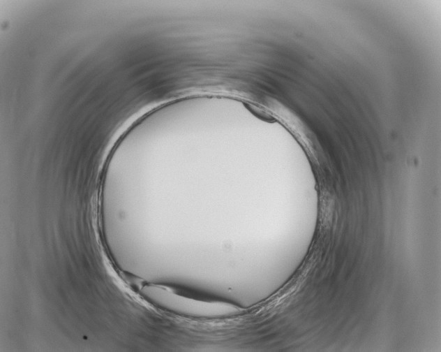 X0000086071100200704202120