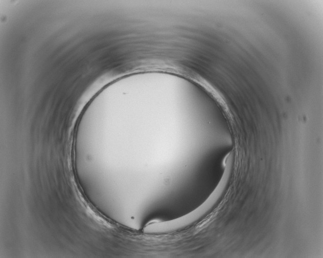 X0000086071102200704202120