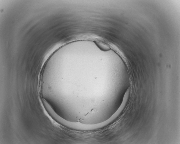 X0000086071103200704202120