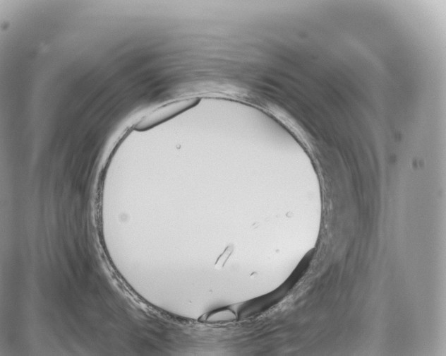 X0000086071104200704202120