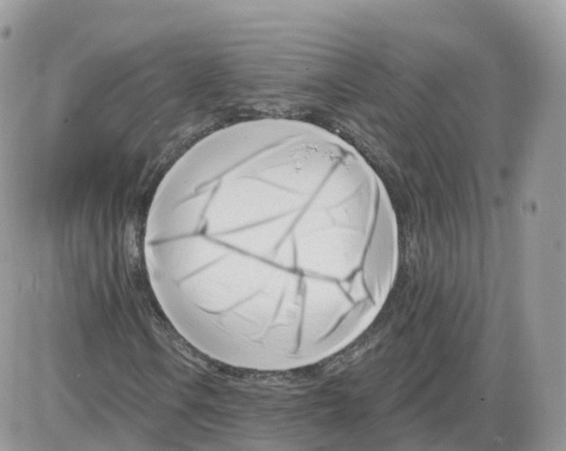 X0000086071106200704202119