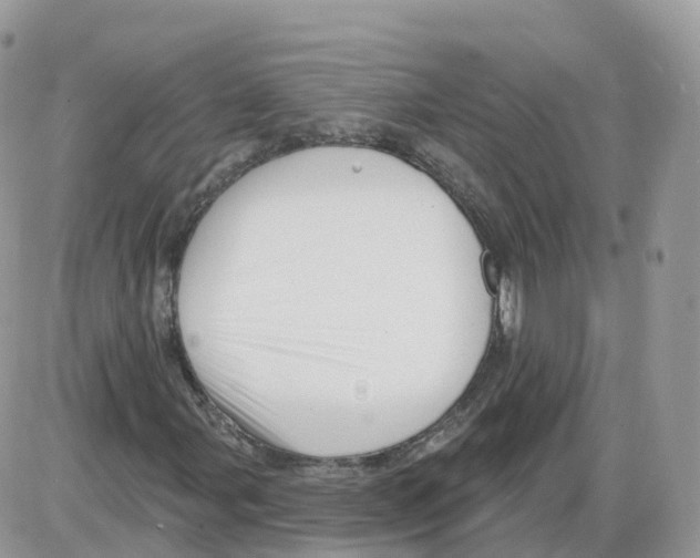 X0000086071107200704202119