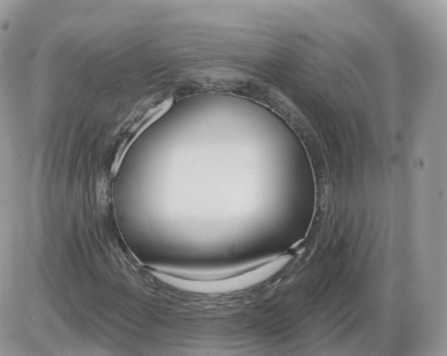 X0000086071108200704202119