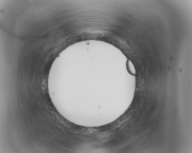 X0000086071109200704202119