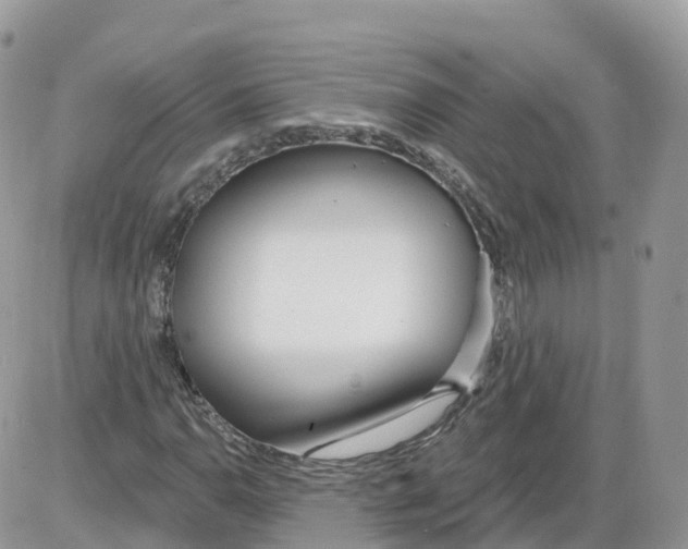 X0000086071110200704202119