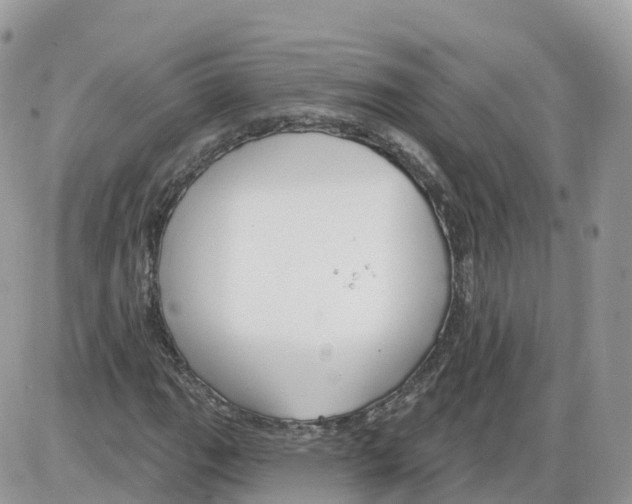 X0000086071111200704202119