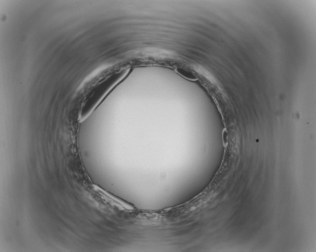 X0000086071112200704202119