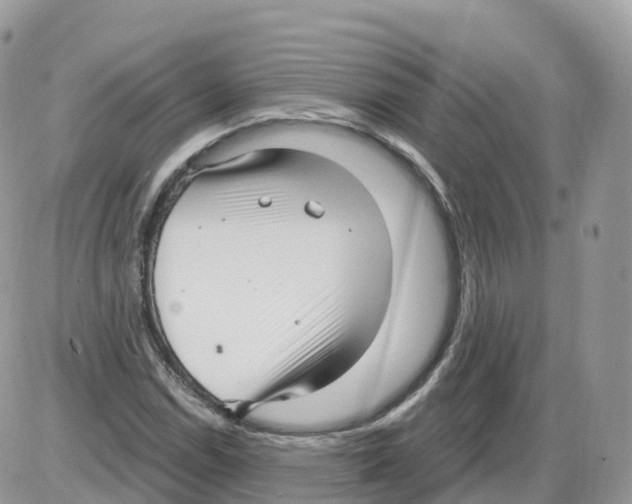 X0000086071114200704202119