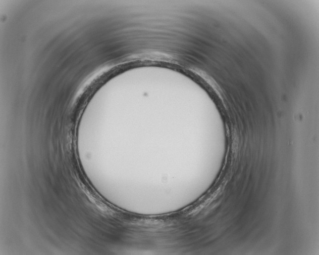 X0000086071115200704202119