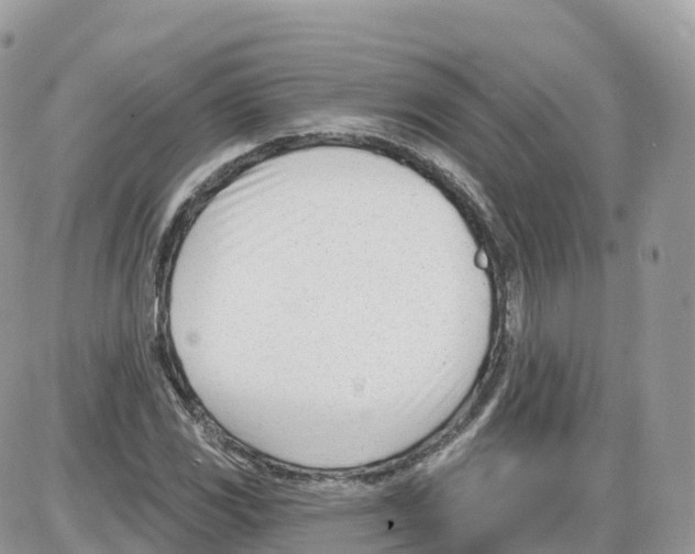 X0000086071117200704202119