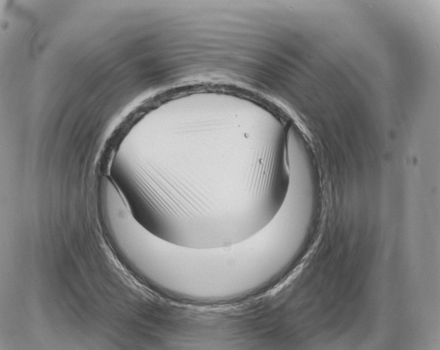 X0000086071118200704202119