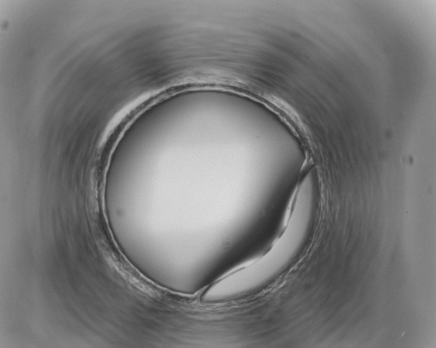 X0000086071120200704202119