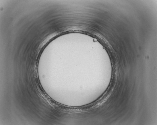 X0000086071121200704202119