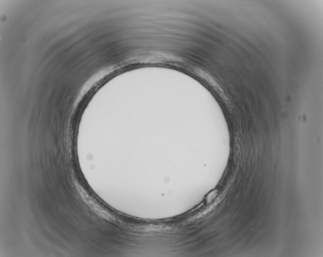 X0000086071122200704202119