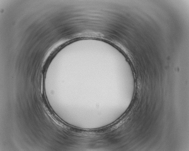 X0000086071123200704202119