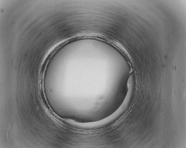 X0000086071124200704202119