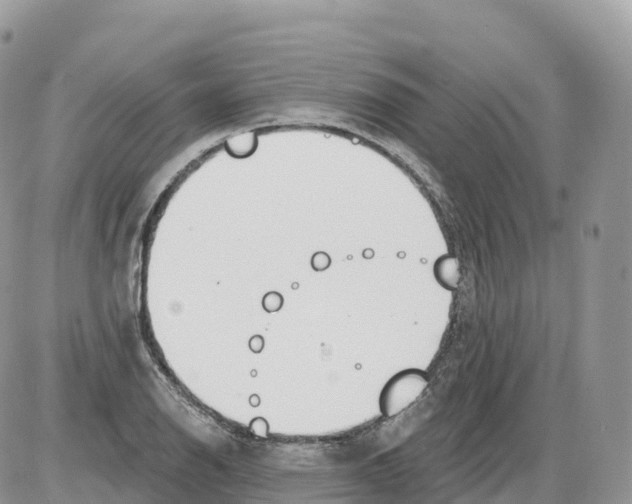 X0000086071126200704202119