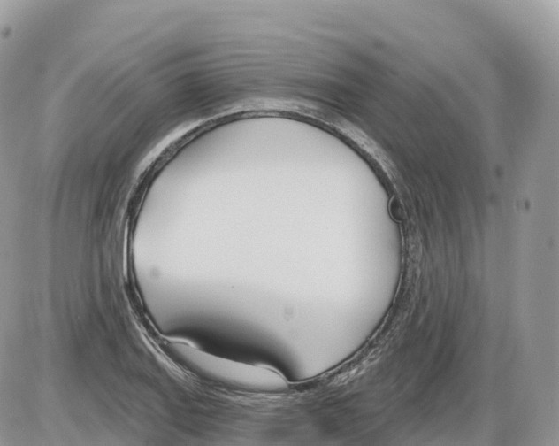 X0000086071127200704202119