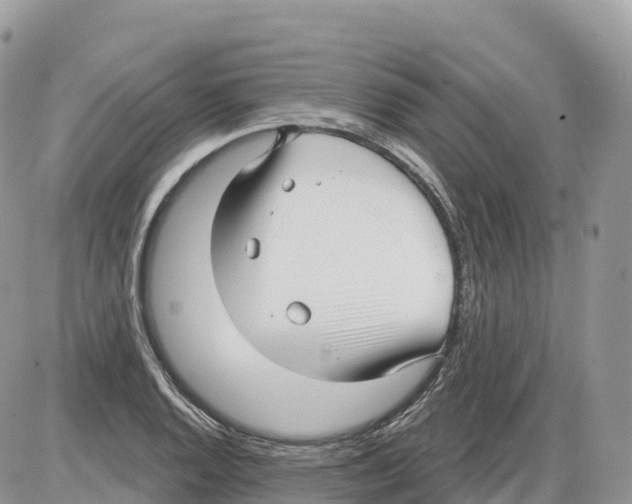 X0000086071128200704202119