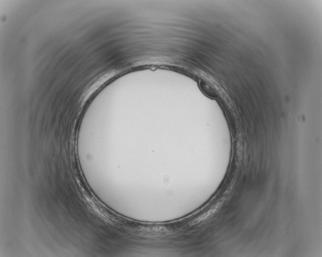 X0000086071129200704202119