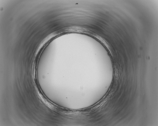 X0000086071131200704202119