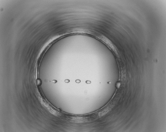 X0000086071132200704202120