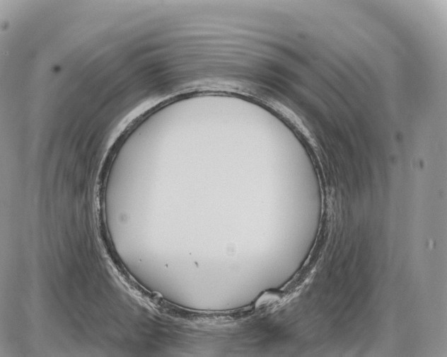 X0000086071133200704202120