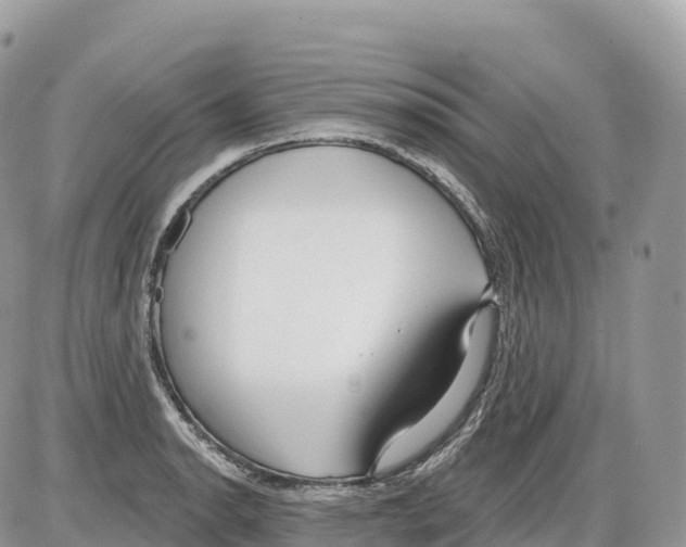 X0000086071134200704202120