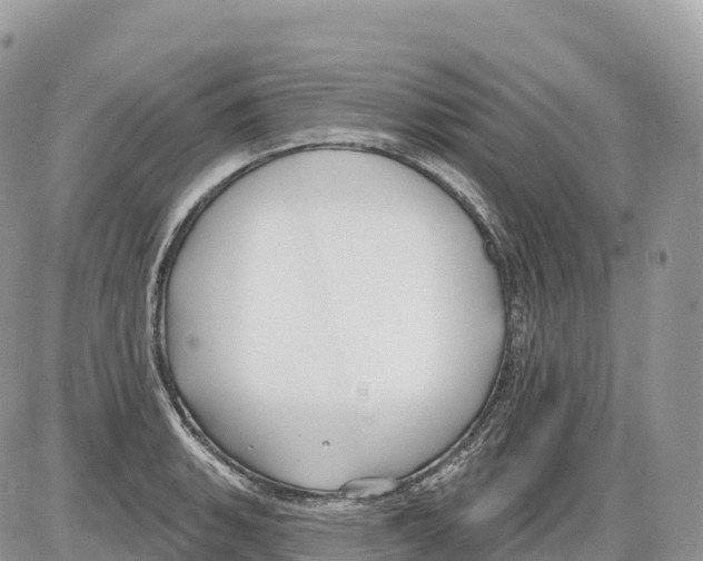 X0000086071135200704202120