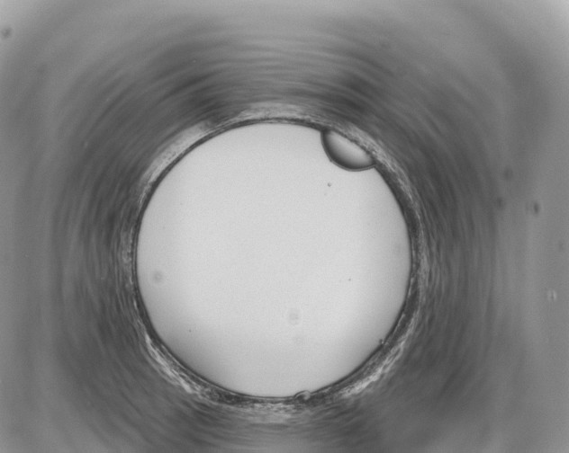 X0000086071137200704202120