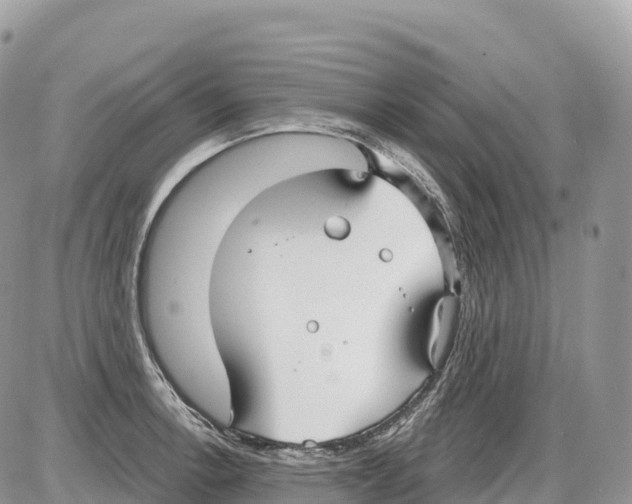 X0000086071138200704202120