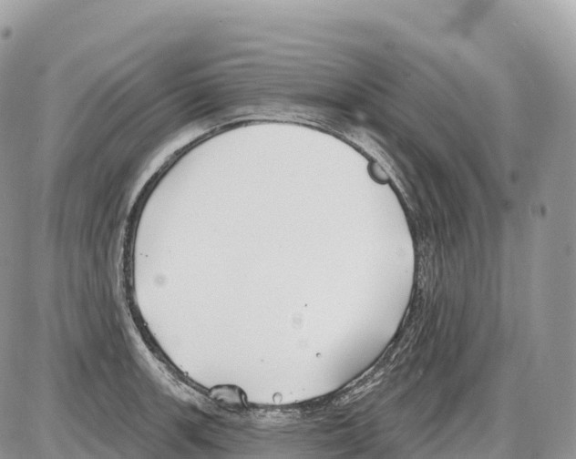 X0000086071139200704202120