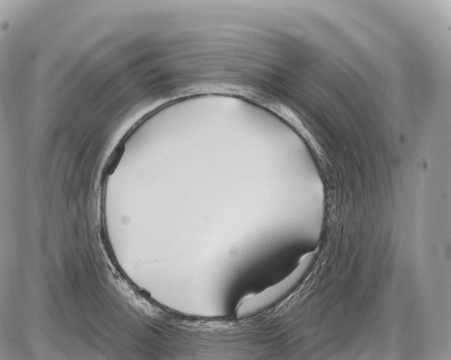 X0000086071140200704202120