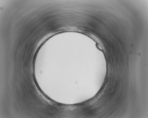 X0000086071141200704202120