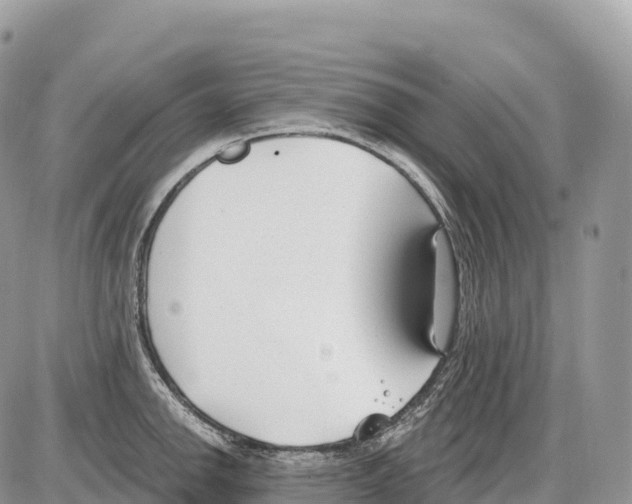 X0000086071142200704202120