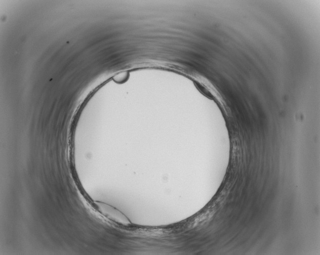 X0000086071143200704202120