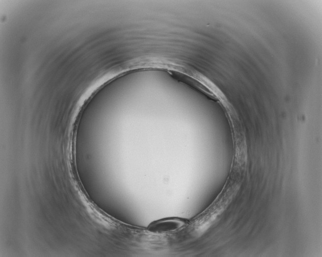 X0000086071144200704202120