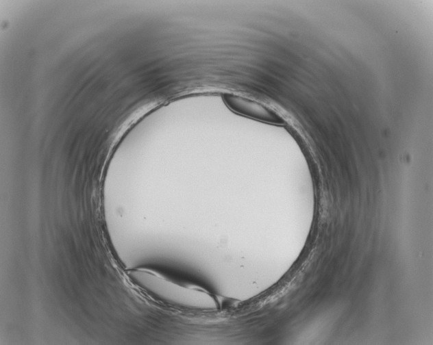 X0000086071145200704202120